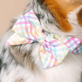 Load image into Gallery viewer, Minka Dog Babe Bow
