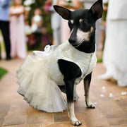 Fancy Bridal Dog Tutu Party Dress
