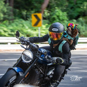 Plus 2 | Dog Carrier with Removable Storage K9 Sport Sack