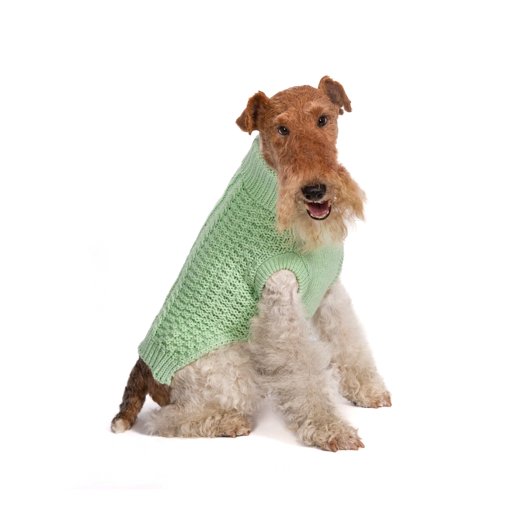 Mint Super Chunky Sweater - Southlake Paws