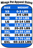 Load image into Gallery viewer, Little Witch Halloween Pet Dress

