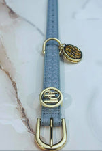 Novalie Mist Dog Collar