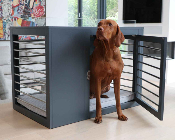 Bowsers Moderno Wood Dog Crate Furniture - Designer Indoor Crate and End Table