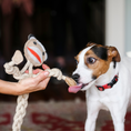 Load image into Gallery viewer, Stuey Sock Monkey Natural Rope Knottie® Dog Toy, Large (9mm rope diameter) - image 2
