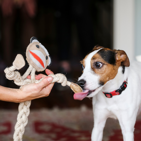 Stuey Sock Monkey Natural Rope Knottie® Dog Toy, Large (9mm rope diameter) - image 2