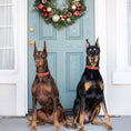 Load image into Gallery viewer, Moose Dog Collar
