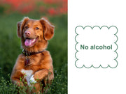 Mr. Peanut's Naturals Plant Based, Flushable, Compostable, Unscented Pet Wipes, 160 Count, Larger 8x6