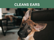 Mr. Peanut's Naturals Plant Based, Flushable, Compostable, Unscented Pet Wipes, 160 Count, Larger 8x6