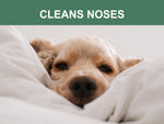 Mr. Peanut's Naturals Plant Based, Flushable, Compostable, Unscented Pet Wipes, 160 Count, Larger 8x6