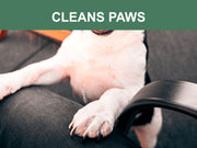 Mr. Peanut's Naturals Plant Based, Flushable, Compostable, Unscented Pet Wipes, 160 Count, Larger 8x6