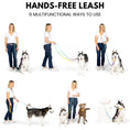 Load image into Gallery viewer, Pixie Hands-Free Rope Dog Leash
