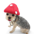 Load image into Gallery viewer, Mushroom Hat
