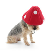 Mushroom Hat