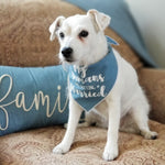 Getting Married Denim Dog Bandana