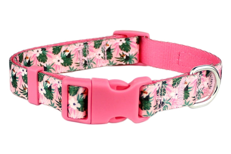 Parisian Pet 'Tropical Toucan' Collar for Dogs & Cats – Adjustable Pink Tropical Pet Collar with Colorful Design