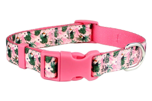 Parisian Pet 'Tropical Toucan' Collar for Dogs & Cats – Adjustable Pink Tropical Pet Collar with Colorful Design