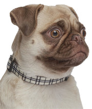 Parisian Pet 'Scottish Plaid' Collar, for Dogs & Cats, Adjustable Pet Collar, Stylish Plaid Dog Collar Khaki