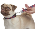Load image into Gallery viewer, Parisian Pet 'Scottish Plaid' Collar for Dogs & Cats – Durable Red Plaid Collar with Adjustable Strap for Small & Large Pets-Valentine's Day
