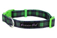 Load image into Gallery viewer, Parisian Pet 'Scottish Plaid' Collar for Dogs & Cats – Stylish Green Blue Dog Collar with Plaid Design and Adjustable Strap
