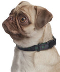Load image into Gallery viewer, Parisian Pet 'Scottish Plaid' Collar for Dogs & Cats – Stylish Green Blue Dog Collar with Plaid Design and Adjustable Strap
