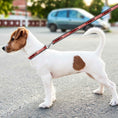 Load image into Gallery viewer, NC State Satin Leash
