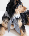 Load image into Gallery viewer, CLASSIC NECKTIE - Southlake Paws
