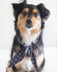 Load image into Gallery viewer, CLASSIC NECKTIE - Southlake Paws
