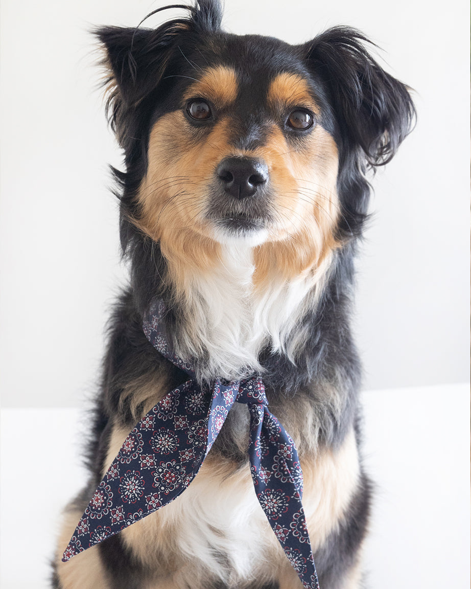CLASSIC NECKTIE - Southlake Paws