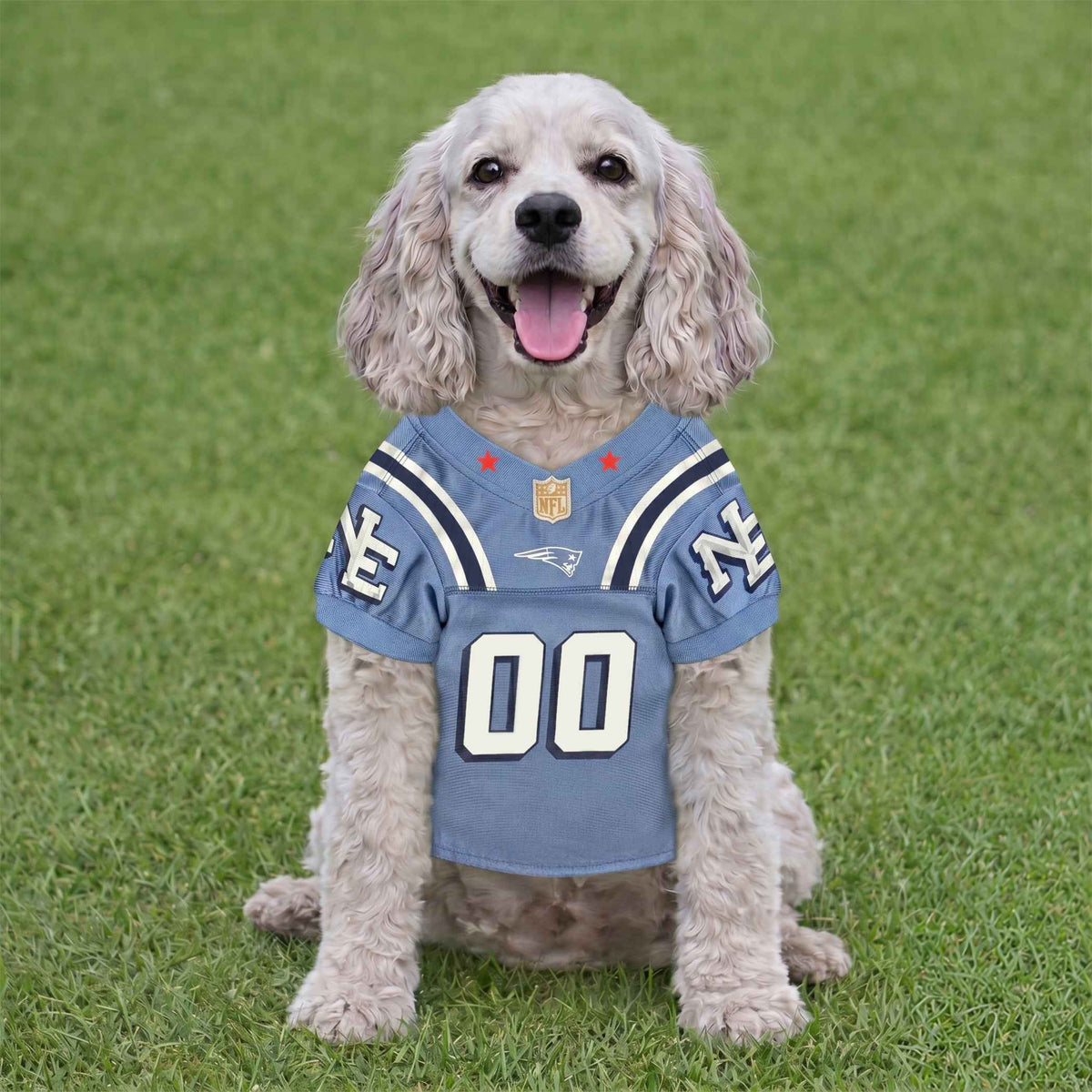 NFL New England Patriots Rivalry Dog Jersey