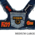 Load image into Gallery viewer, Nirvana Harness
