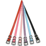 Parisian Pet 'Matte 36 Pack' Customizable Collars – Durable, Adjustable & Stylish, Various Colors