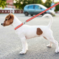 Load image into Gallery viewer, New York Red Bulls Satin Ribbon Leash
