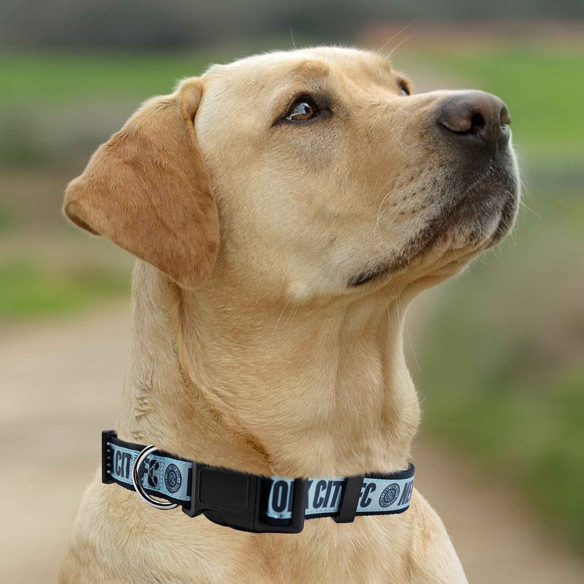 New York City FC Satin Collar
