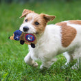 Load image into Gallery viewer, New York Rangers Plush Hedgehog Toy
