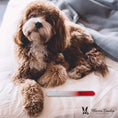 Load image into Gallery viewer, Glass Nail File for Dogs
