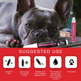 Load image into Gallery viewer, Pawdicure Polish Pens - Choose From 13 Colors! - Dog Nail Polish

