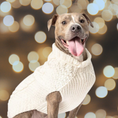 Load image into Gallery viewer, Natural Cable Knit Dog Sweater
