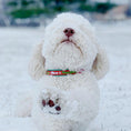 Load image into Gallery viewer, Naughty and Nice Dog Collar
