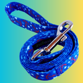 Load image into Gallery viewer, EcoBark Nautical Dog Leash-Padded Comfort Grip Leash - 5ft Leash for Small and Medium Dogs
