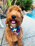 Load image into Gallery viewer, Navy Flower Dog Bandana
