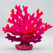 Neon Pink Coral Statue