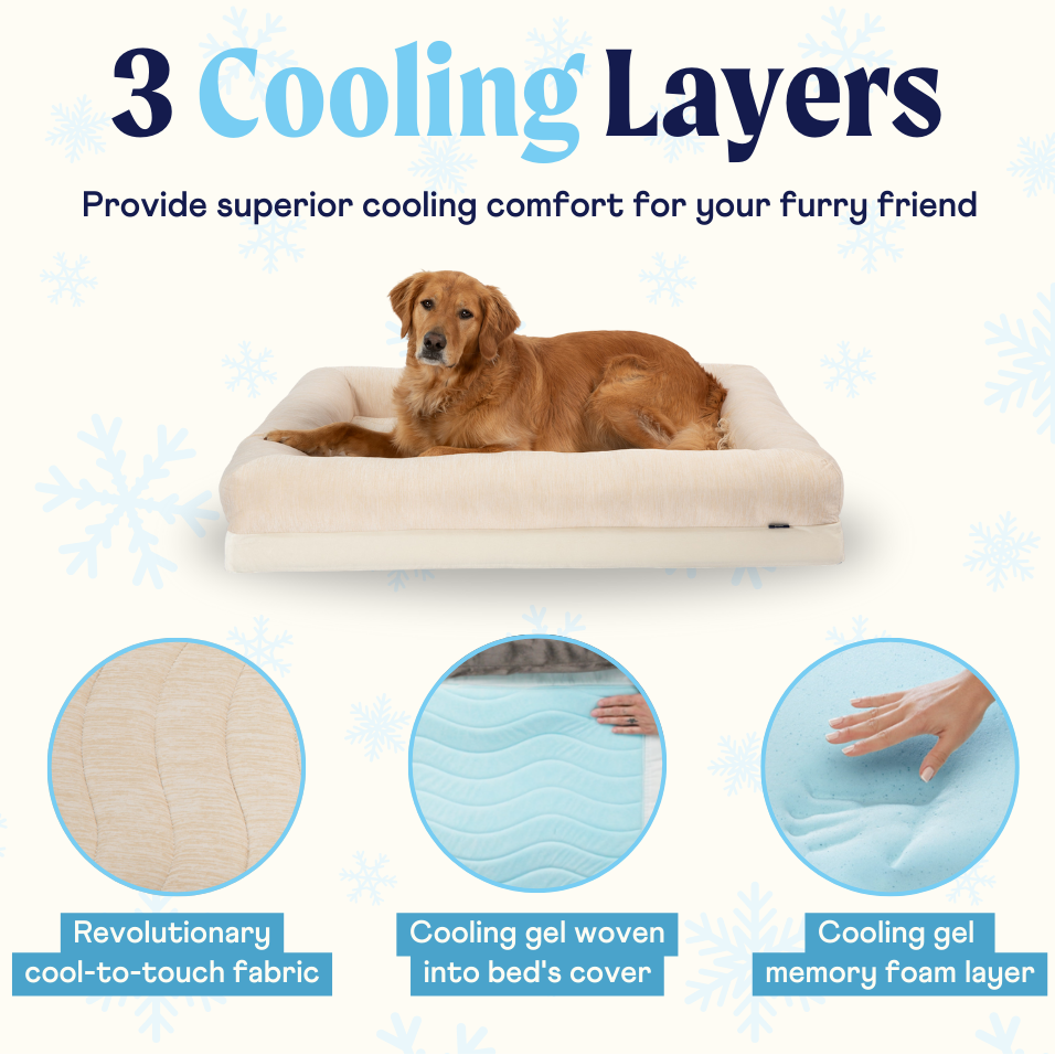 Dog lying on a cooling bed with '3 Cooling Layers' text and paw.com branding.