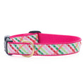 Load image into Gallery viewer, Gingham All the Way Dog Collar
