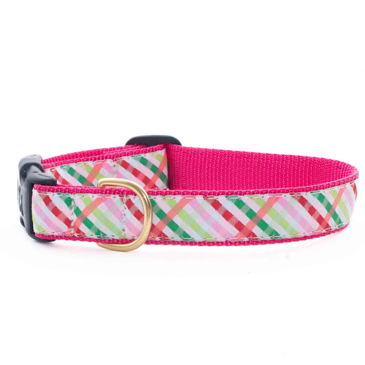 Up Country Gingham All the Way Cast Brass Dog Collar