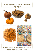 Load image into Gallery viewer, Organic Welcome Home Puppy Treat Bundle Dog Treats
