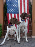 Load image into Gallery viewer, New Stars Dog Collar

