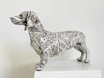 Newspaper Dachshund