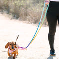Load image into Gallery viewer, Nola Hands-Free Rope Dog Leash
