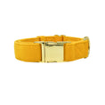 Load image into Gallery viewer, Nova Dog Collar
