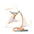 Load image into Gallery viewer, Nubuck Celestial Dog Harness
